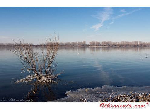 Христо Стефанов (ico10) – Януари край Дунав – Фото, Природа, Пейзаж