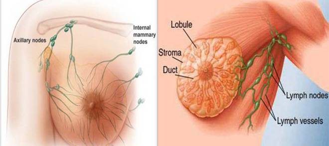 Причиняват ли рак стиковете против изпотяване?