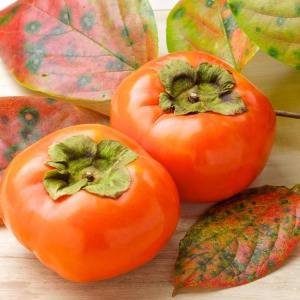 Вталяване с райска ябълка?