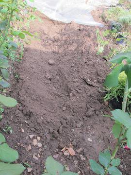 Как да направим суха река