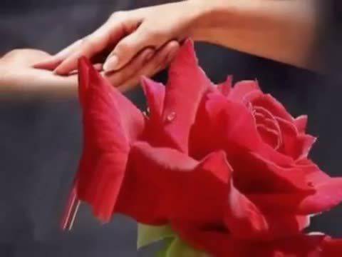 Аксел Руди Пел – Не ми казвай сбогом