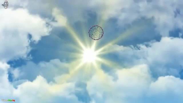 Цветето на Живота