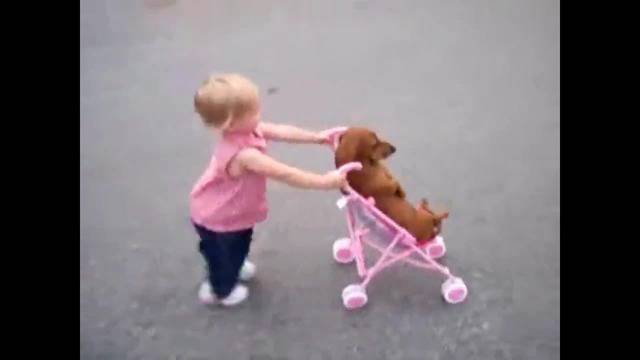 Моето кученце е най-миличкото на света – момиченце разхожда любимото си куче като бебе