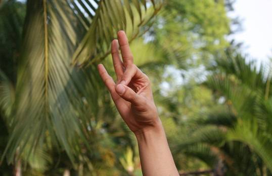 Чин мудра за „бърза помощ“ при стрес