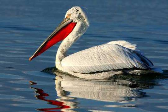 Езерото Керкини