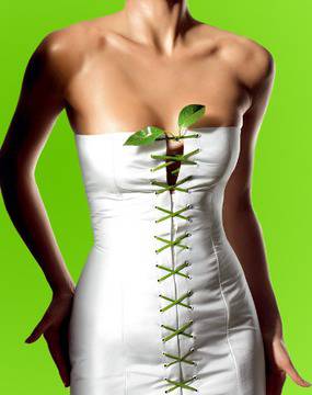 Отслабване със зелен чай