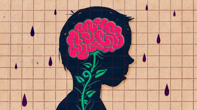 20 препятствия пред интелекта или защо на умните често пъти не им върви?