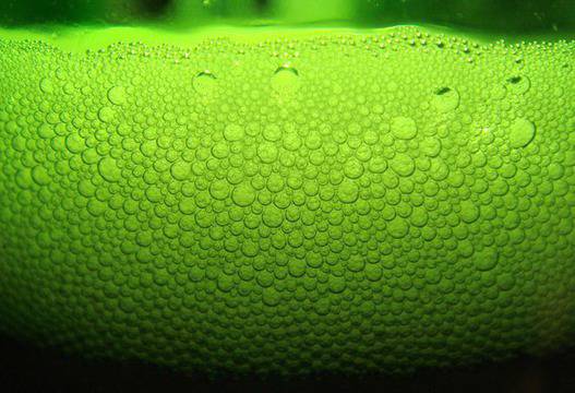 Няколко интересни факта за бирата