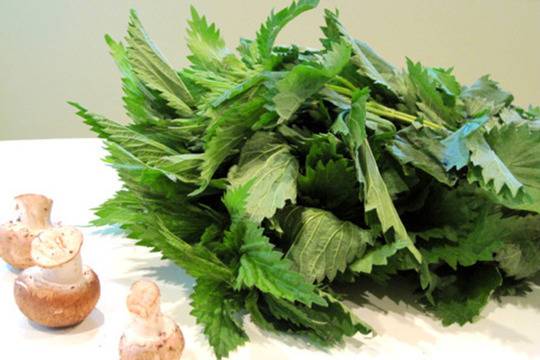 С какво да се храним при желязодефицитна анемия