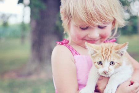 Мамо, искам коте или как да разберем готови ли сме за домашен любимец