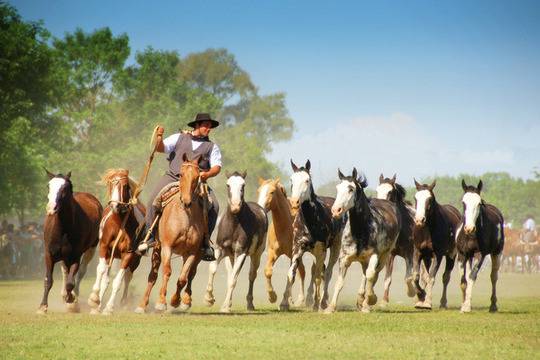 Тодоровден