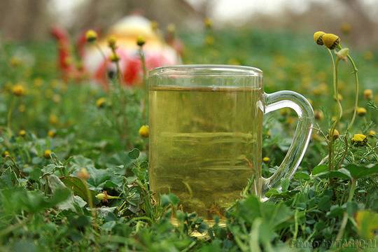 Лечение с билки на възпален далак