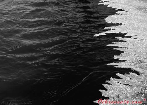 ico10 – Животът е миг (По тънък лед) – фото: Природа