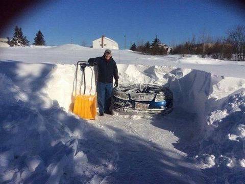 Забавни картинки