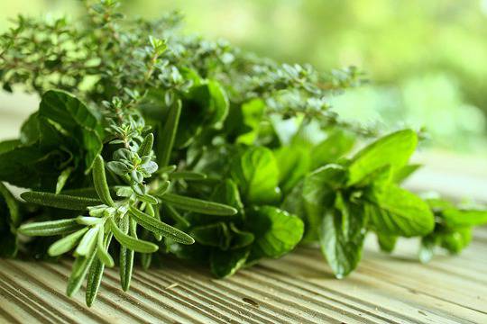 10 от най-полезните билки в борбата с рака