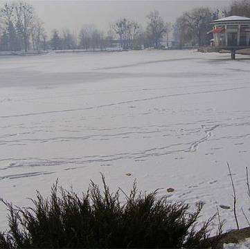 Полицаи спасиха 2 момчета от ледено езеро