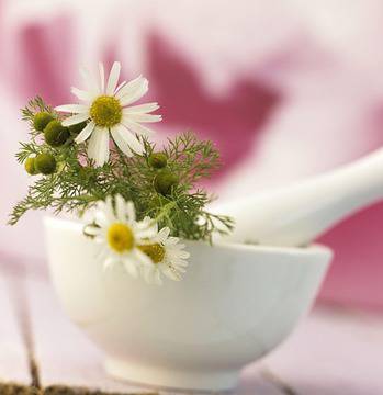 Есенна грижа за ходилата видяна 2181 коментари 0