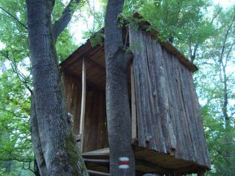 Поддържан Резерват \“Долна Топчия\“