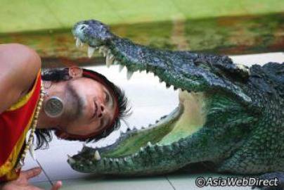 Ужас! Крокодил една не отхапа главата на своя дресьор (видео)