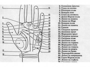 Колко деца ще имате – разберете по линиите на ръката