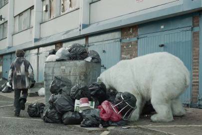 Ужас! 27 бели мечки на шопинг в село (видео)