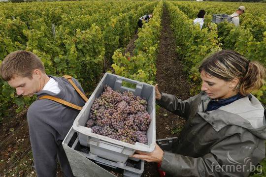 Европейска награда за млади фермери 2014-УСЛОВИЯ, КРИТЕРИИ, НАГРАДИ