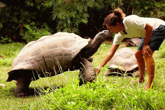 Раят на Земята