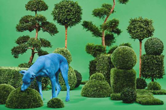 Снуп Дог в общо парче с Фарел и Чичо Чарли