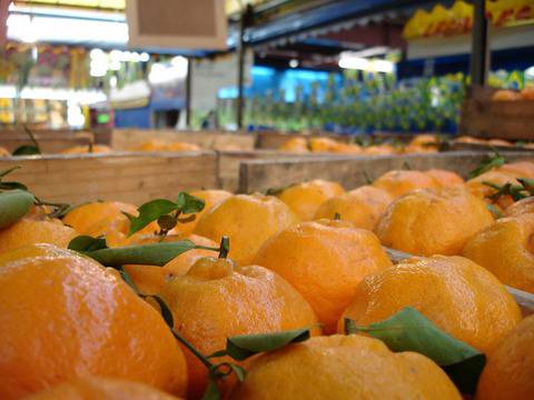 Защо не трябва да прекаляваме с фрешовете