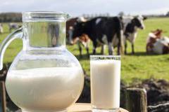 Ирландците празнуват края на млечните квоти в ЕС