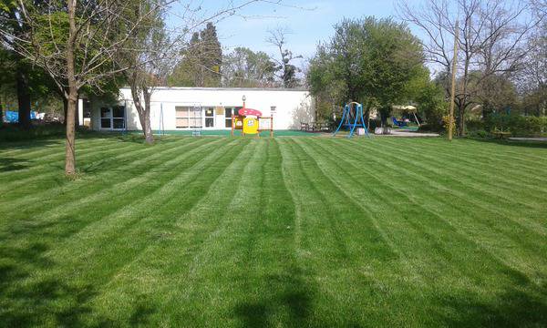 Косене на тревни площи Варна – Услуги Варна 24 часа