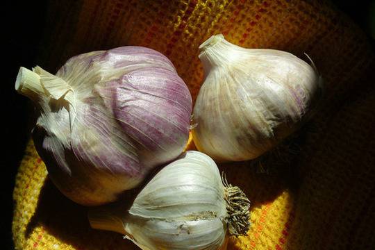 Чесънът предпазва мозъка и забавя процеса на стареене