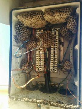 Забавни картинки