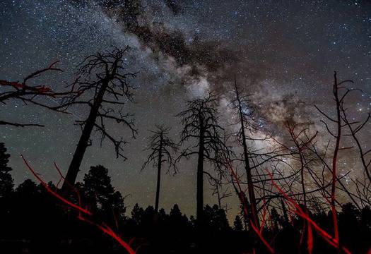 Вижте как би изглеждало нощното небе без светлинно замърсяване