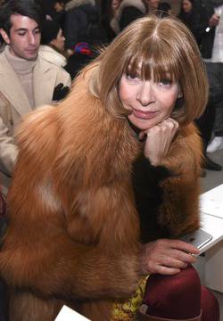 10 неща, които не знаехте за Ана Уинтур видяна 1015 коментари 7