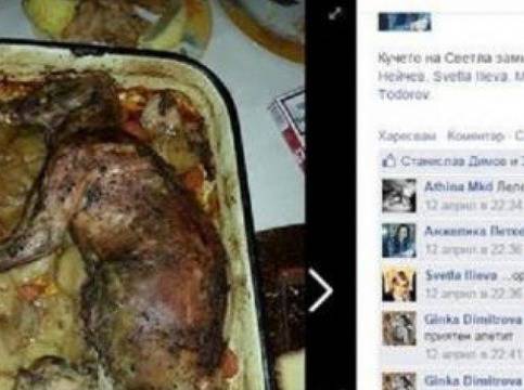 Отвратително! Бургазлийка одра кучето си и го приготви за вечеря