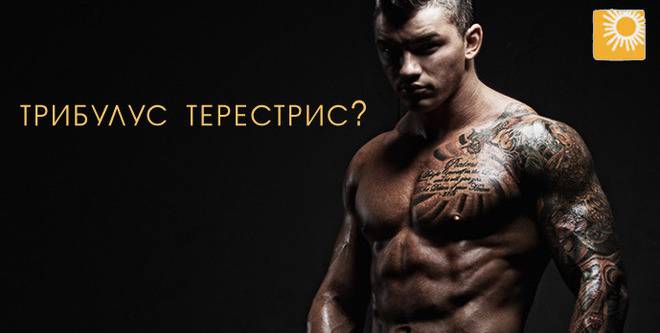 Трибулус Терестрис (Бабини зъби)