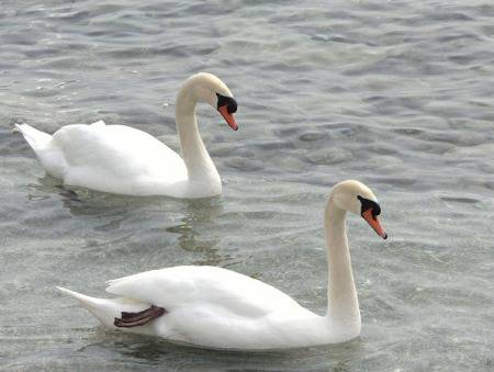 Една любовна история