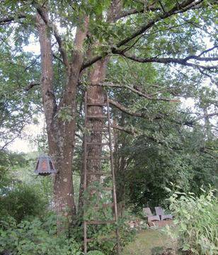 Седем начина да изглеждаме елегантно по френски