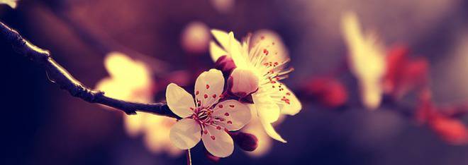 Мъдри думи за хората