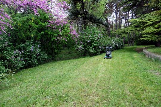Косене на тревни площи Варна и региона
