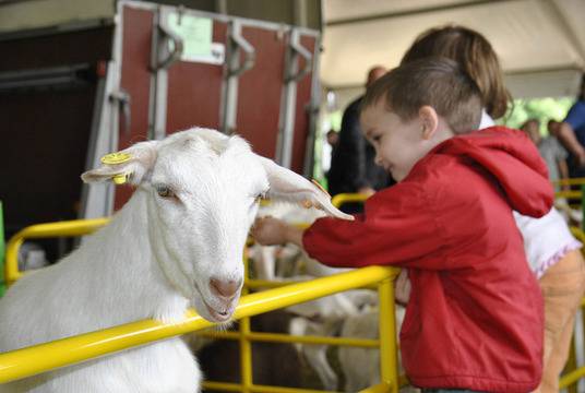Овцевъдите на събор след Гергьовден