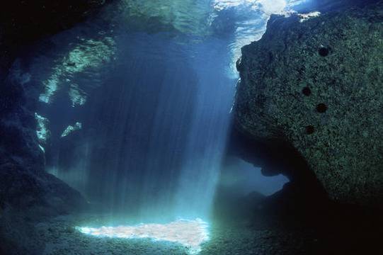 16 любопитни факта за дълбините на океана