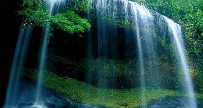 Говорете нежно на водата и тя ще ви отвърне със здраве