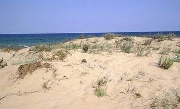 Дюните на Аркутино вече са извън резервата „Ропотамо-Беглик таш”