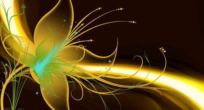 7 стъпки как да използвате успешно Закона за привличането