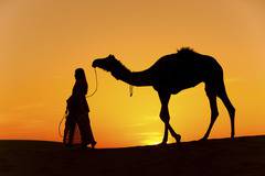 Мъдрост от арабските народи в 31 пословици