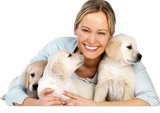 Ветеринарна клиника „БОМЕД“