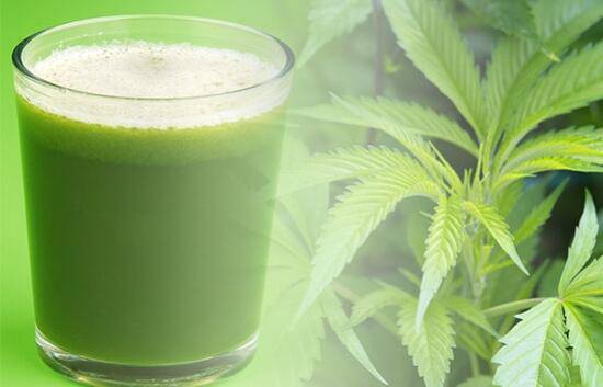 Канабиноиди като в марихуаната има и в майчиното мляко