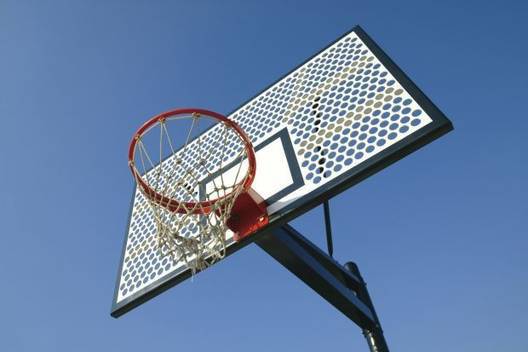 Ужас! Обесиха куче на баскетболен кош в училище!